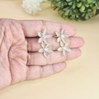 Moonlit  Crystal Earrings